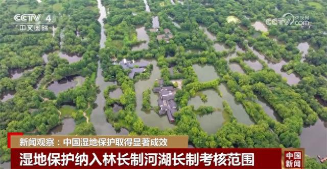 我国持续推进湿地保护,全国湿地面积稳定保持在5635万公顷以上